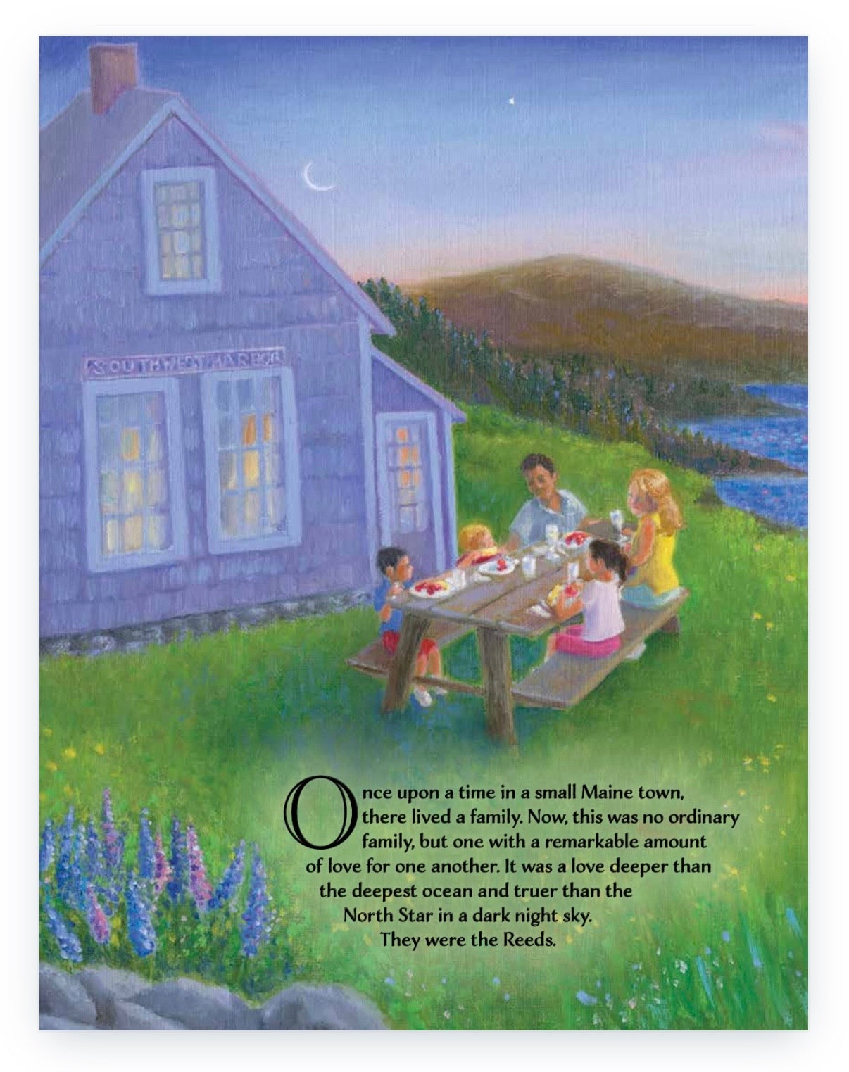 Don't Ever Give Up - Hard Cover